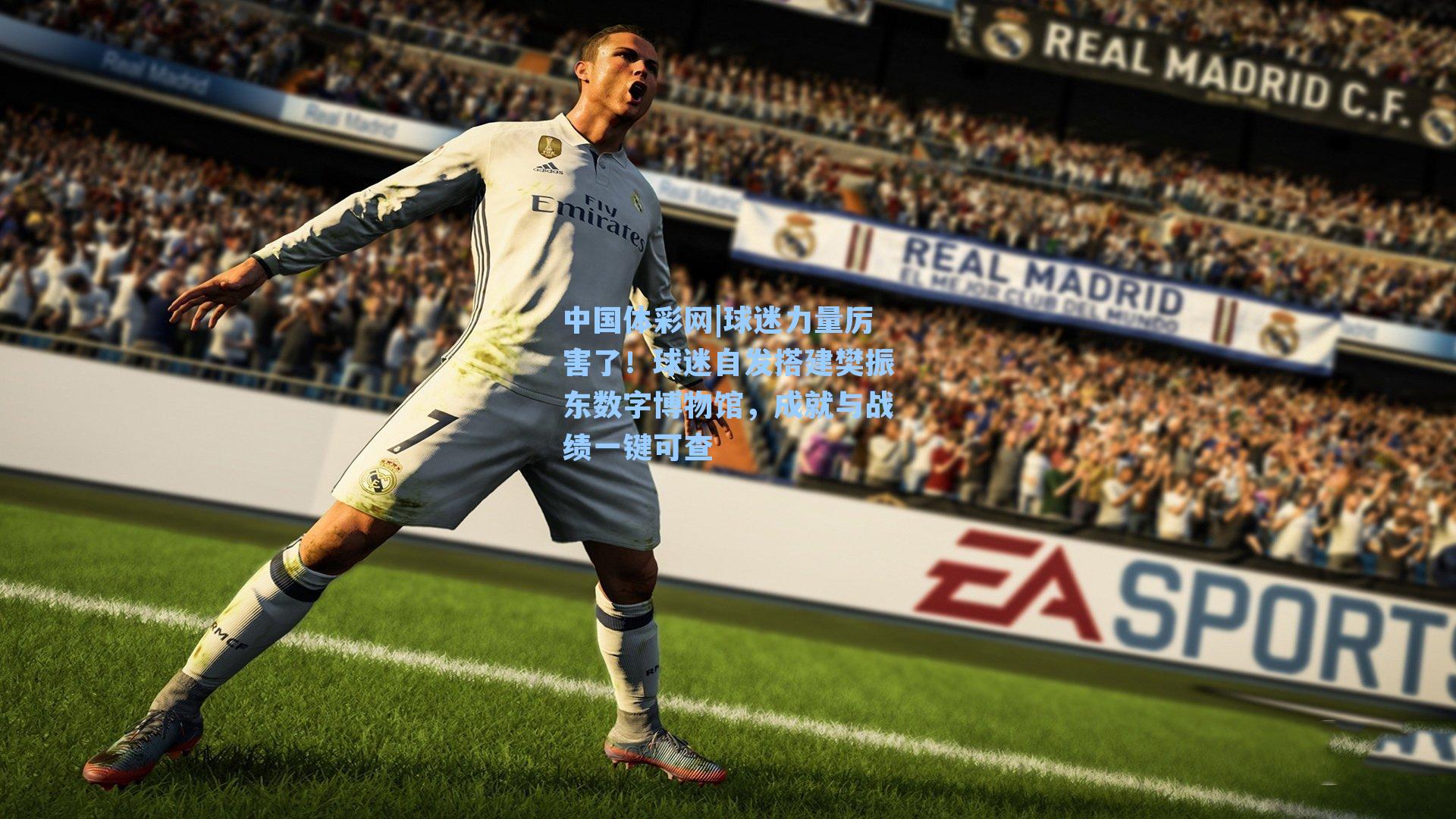 中国体彩网|球迷力量厉害了！球迷自发搭建樊振东数字博物馆，成就与战绩一键可查