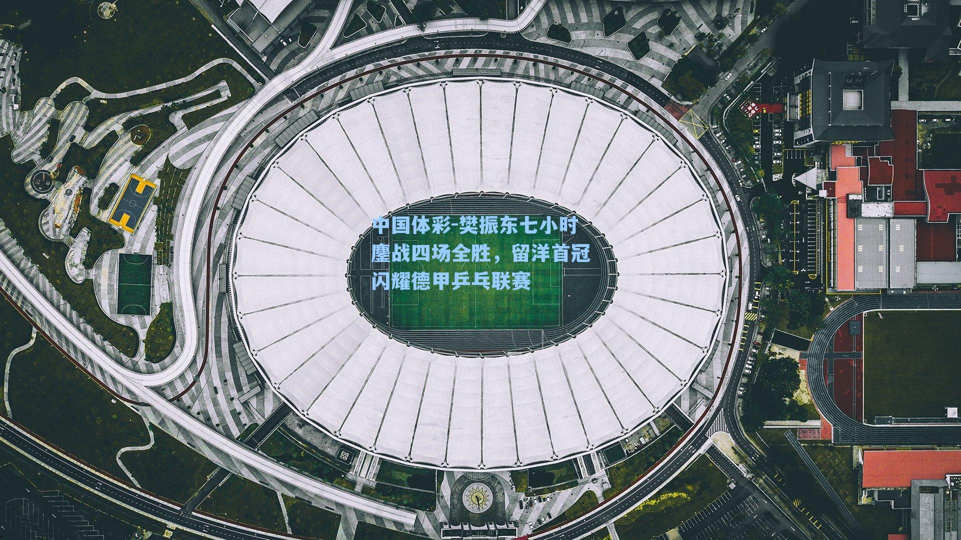 樊振东七小时鏖战四场全胜,留洋首冠闪耀德甲乒乓联赛