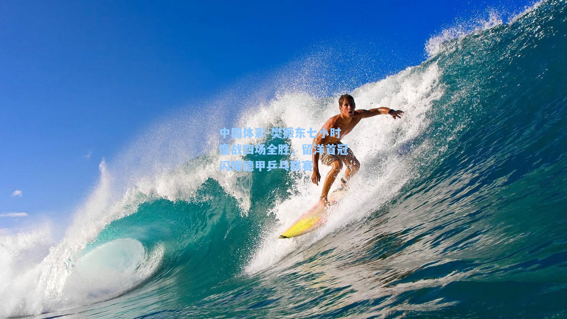 樊振东七小时鏖战四场全胜,留洋首冠闪耀德甲乒乓联赛